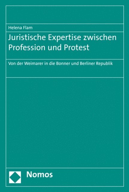 Helena Flam - Juristische Expertise zwischen Profession und Protest, E-bok