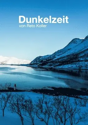 Reto Koller - Dunkelzeit, Häftad. Tillgänglighet: Lägg i varukorg