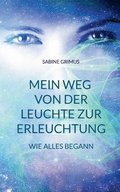 Mein Weg von der Leuchte zur Erleuchtung
