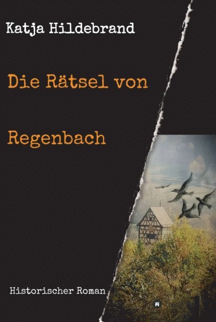 Katja Hildebrand - Die Rätsel von Regenbach, E-bok
