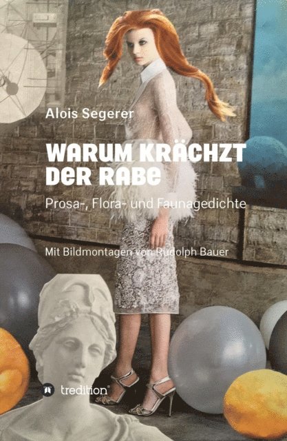 Alois Segerer, Rudolph Bauer - Warum krächzt der Rabe, E-bok