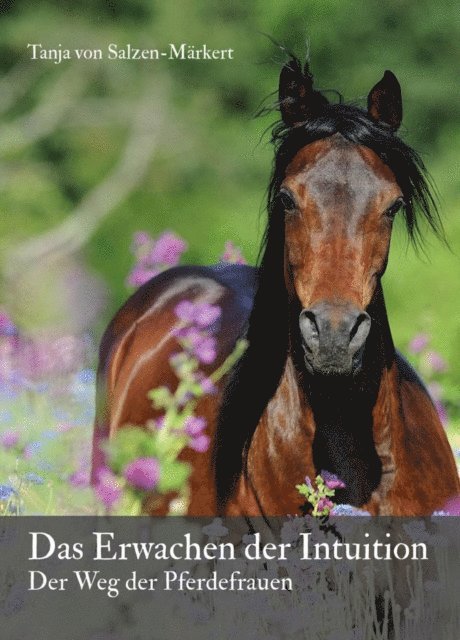 Tanja von Salzen-Markert - Das Erwachen der Intuition, E-bok