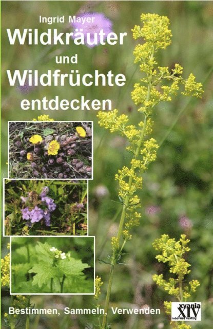 Ingrid Mayer - Wildkräuter und Wildfrüchte entdecken, E-bok