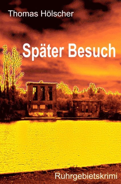 Thomas Holscher - Später Besuch, E-bok