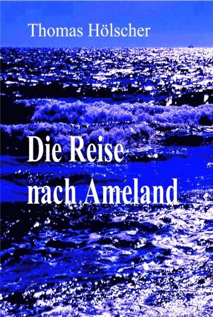 Thomas Holscher - Die Reise nach Ameland, E-bok