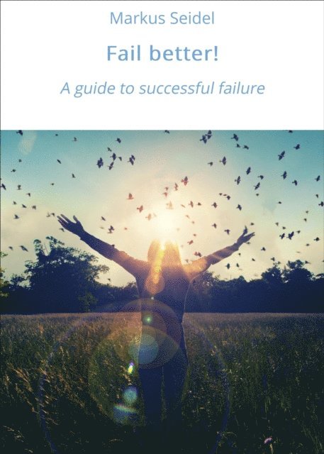 Markus Seidel - Fail better!, E-bok