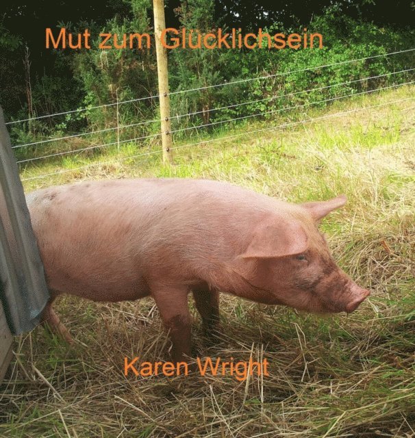 Karen Wright - Mut zum Glücklichsein, E-bok