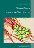 Shadow Disease chronic active Toxoplasmosis
