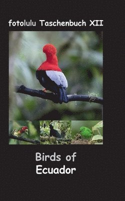 Fotolulu - Birds of Ecuador, Häftad. Tillgänglighet: Lägg i varukorg