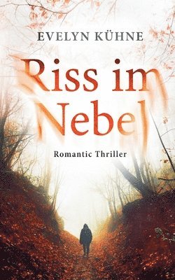 Evelyn Kühne - Riss im Nebel, Häftad