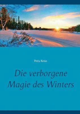 verborgene Magie des Winters