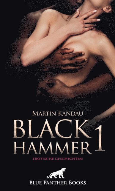 Martin Kandau - Black Hammer 1! Erotische Geschichten, E-bok