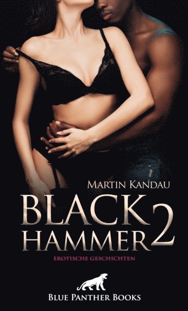 Martin Kandau - Black Hammer 2! Erotische Geschichten, E-bok