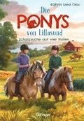 Die Ponys von Lillasund 2. Schatzsuche auf vier Hufen