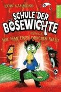 Schule der Bsewichte 2. Lektion 2: Wie man einen Drachen klaut