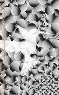 Die Fl�chtigen