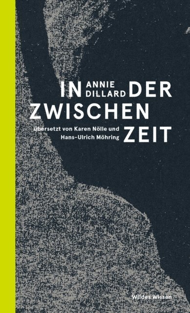 Annie Dillard, Judith Schalansky - In der Zwischenzeit, E-bok