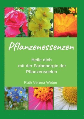 Ruth Verena Weber - Pflanzenessenzen, Häftad. Tillgänglighet: Lägg i varukorg