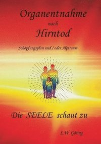 Organentnahme nach Hirntod