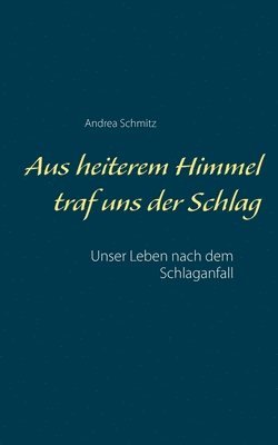 Andrea Schmitz - Aus heiterem Himmel traf uns der Schlag, Häftad