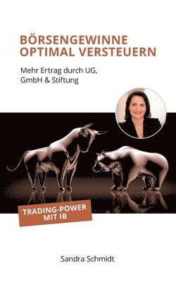 Sandra Schmidt - Börsengewinne optimal versteuern, Häftad
