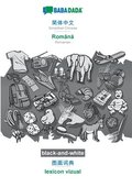 Simplified Chinese (in chinese script) - Romn?, visual dictionary, BW