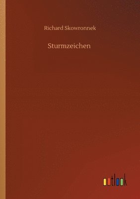 Richard Skowronnek - Sturmzeichen, Häftad