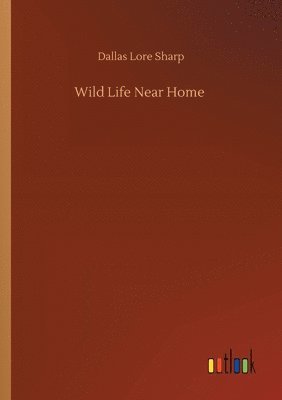 Dallas Lore Sharp - Wild Life Near Home, Häftad