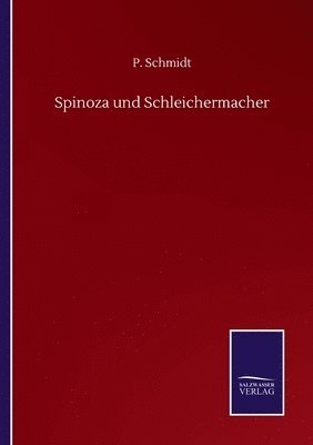 P Schmidt - Spinoza und Schleichermacher, Häftad