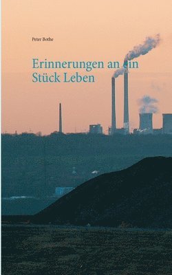 Peter Bothe - Erinnerungen an ein Stück Leben, Häftad
