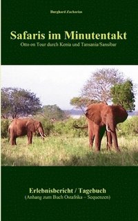 Safaris im Minutentakt