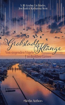 S M Gruber, LIV Modes, Jen Pauli - Großstadtklänge, Häftad