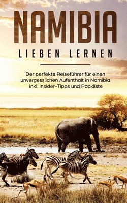 Christina Huber - Namibia lieben lernen, Häftad