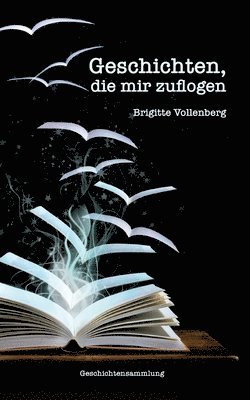 Brigitte Vollenberg - Geschichten, die mir zuflogen, Häftad. Tillgänglighet: Lägg i varukorg