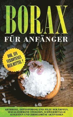 Sebastian Löwenthal - Borax für Anfänger, Häftad
