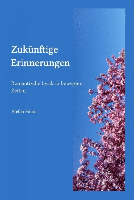 Stefan Simon - Zukünftige Erinnerungen, E-bok