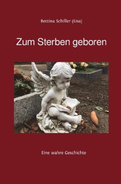 Bettina Schiller - Zum Sterben geboren, E-bok