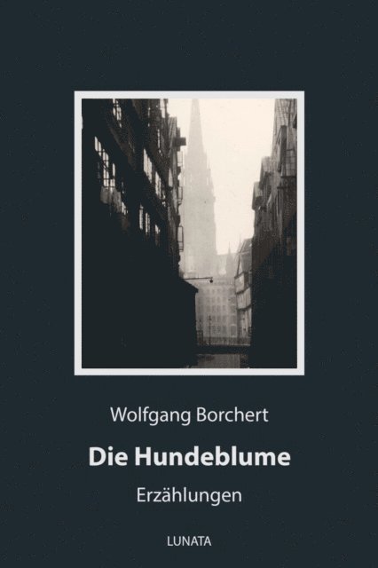 Wolfgang Borchert - Die Hundeblume, E-bok