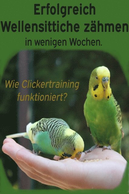 Powerlifting check - Erfolgreich Wellensittiche zähmen in wenigen Wochen. Wie funktioniert Clickertraining mit Wellensittichen?, E-bok. Tillgänglighet: Lägg i varukorg