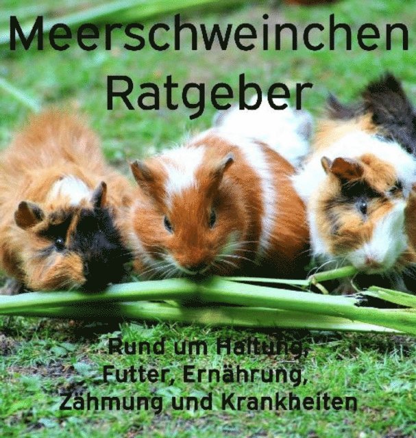 Powerlifting check - Meerschweinchen Ratgeber., E-bok. Tillgänglighet: Lägg i varukorg