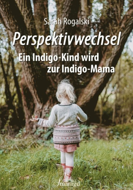 Sarah Rogalski - Perspektivwechsel, E-bok