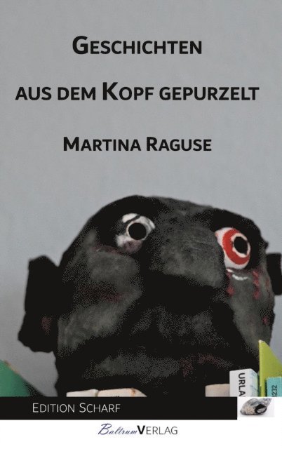 Martina Raguse - Geschichten aus dem Kopf gepurzelt, E-bok