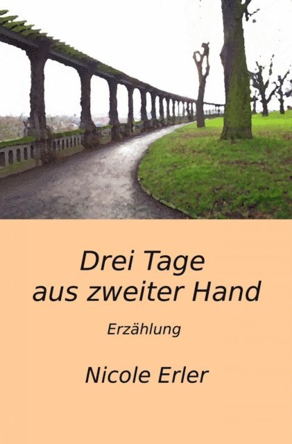 Nicole Erler - Drei Tage aus zweiter Hand, E-bok