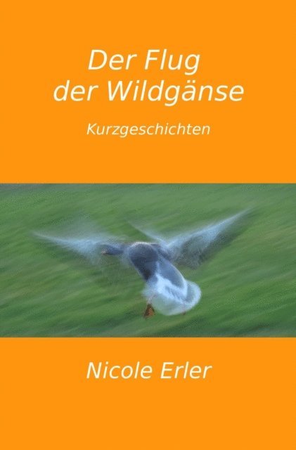 Nicole Erler - Der Flug der Wildgänse, E-bok