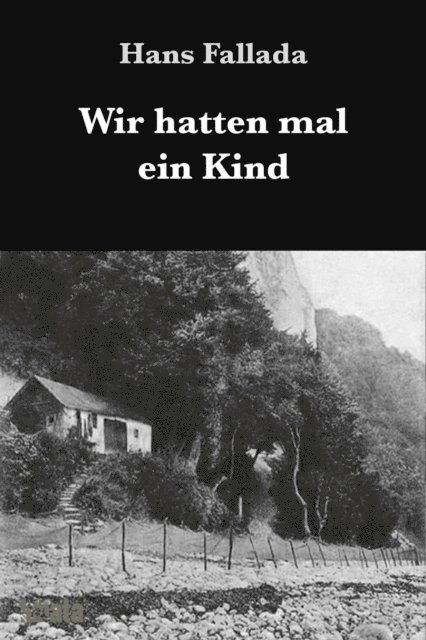 Hans Fallada - Wir hatten mal ein Kind, E-bok