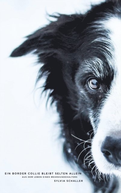 Sylvia Schaller - Ein Border Collie bleibt selten allein, E-bok