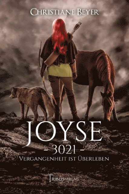 Christiane Beyer, Tribus Verlag - Joyse, E-bok