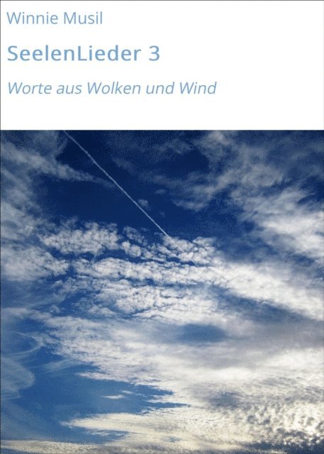 Winnie Musil - SeelenLieder 3, E-bok