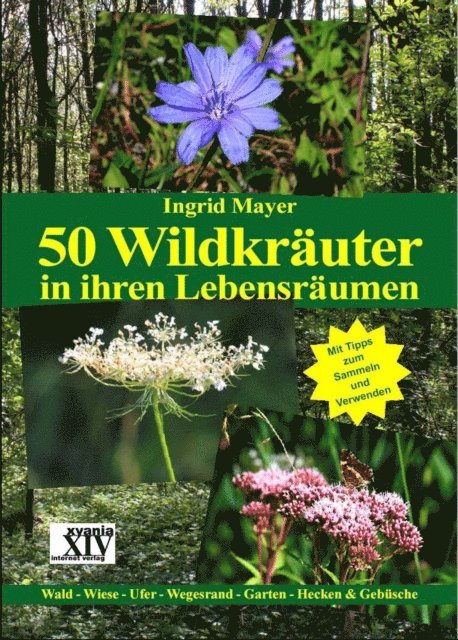 Ingrid Mayer - 50 Wildkräuter in ihren Lebensräumen, E-bok