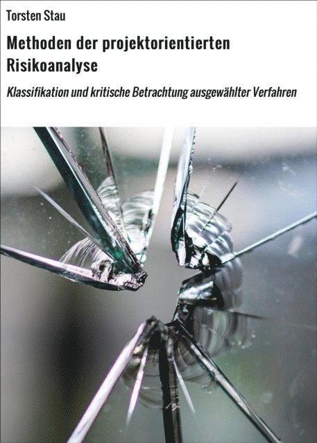 Torsten Stau - Methoden der projektorientierten Risikoanalyse, E-bok